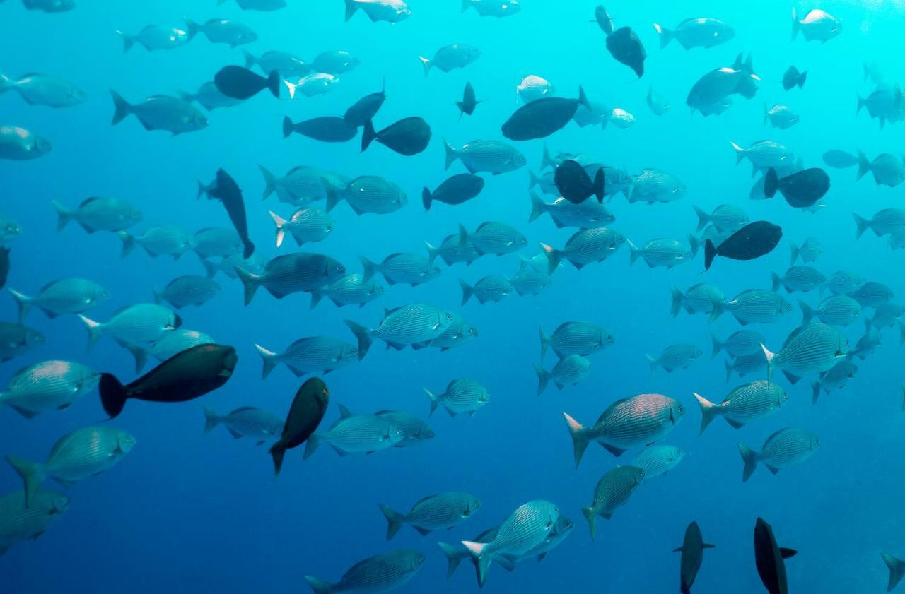 Ocean Village Maldives Holhudhoo Ngoại thất bức ảnh